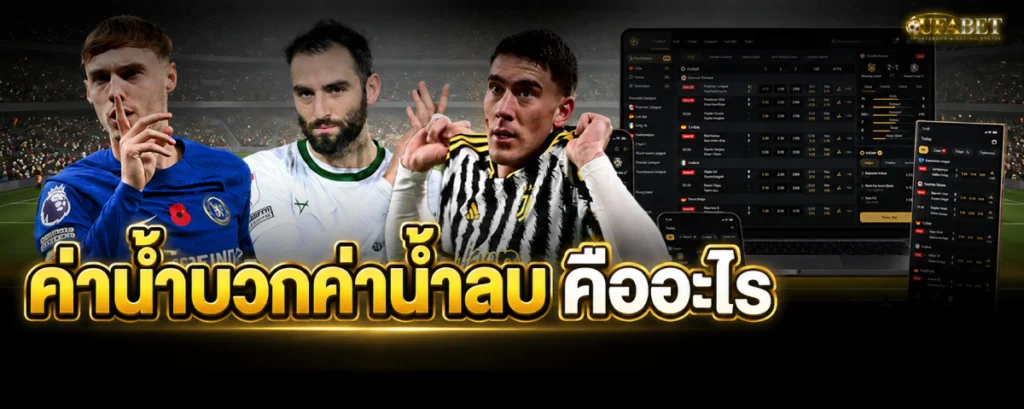 ค่าน้ำบวกค่าน้ำลบ คืออะไร